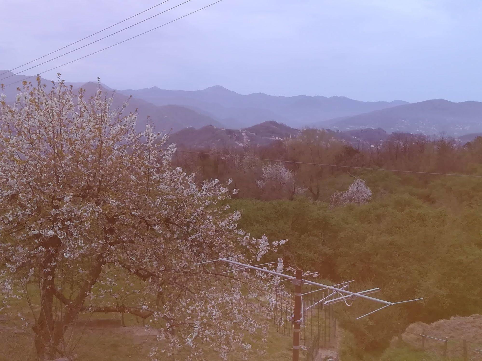 Locanda Primo Sole Leivi Ngoại thất bức ảnh